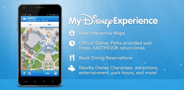 my disney experience details
